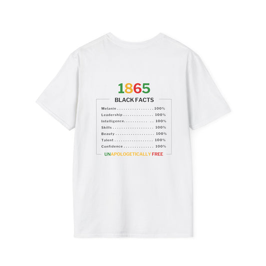 Juneteenth Black Queen Unisex Softstyle T-Shirt – 1865 “Black Facts” Edition