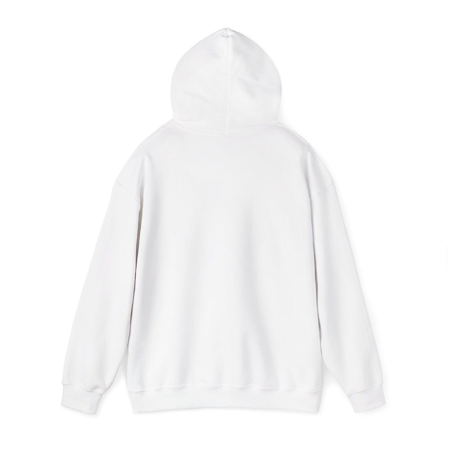 ASI Statement Hoodie – Call Your Senators (Design B)